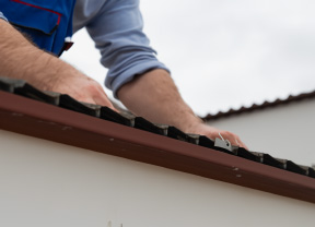 Roofing and guttering cover